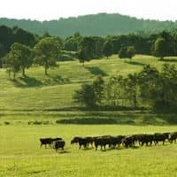 Founded by Land Pros