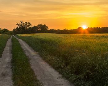 3 Tips to Sell Landlocked Property