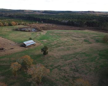 Alabama Cattle Farm Offers Income and Recreation
