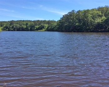 Alabama Lake Cabin Offers Awesome Hunting and Fishing