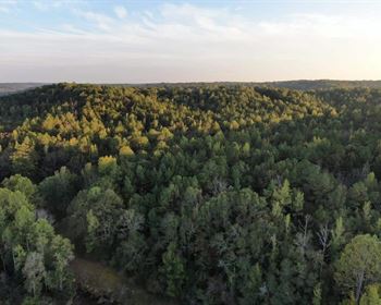 Alabama Tract Offers Recreation, Wildlife Habitat, and Timber