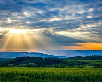 Buyers: Don’t Balk at the Buyer Brokerage Agreement