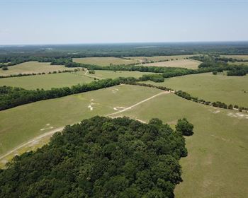 Cattle Ranch with Unlimited Sites and Vistas for Building