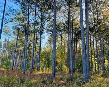 Central Georgia Recreational Property