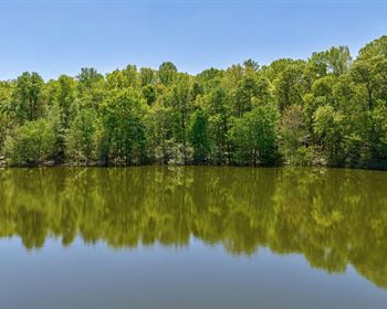 Create Your Own Lifestyle on this Georgia Farm