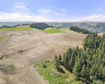 DaRock Farm and Ranch: A Productive Agricultural Operation