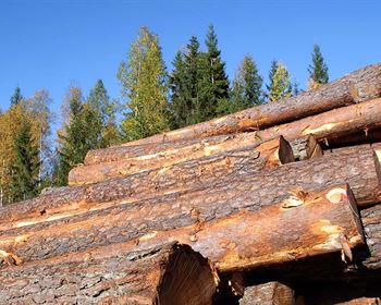 Delivered Log Prices in the Northwest versus Stumpage in the U.S. South