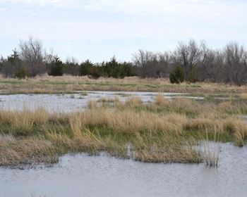 Diverse Kansas Property Hunts Bigger Than Its Size