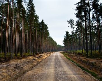 Don’t Underestimate the Value of Quality Roads