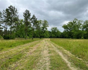 Exceptional Tract for the Investor or Outdoorsman