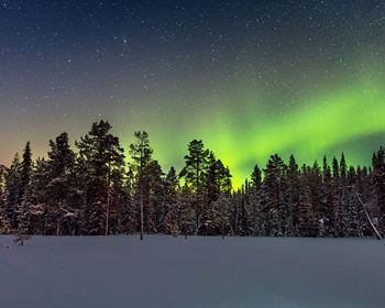 Forestry Facts and Figures: Timber and Wood Market Trivia