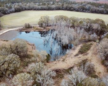 Georgia Orchard Farm with Recreational Opportunities