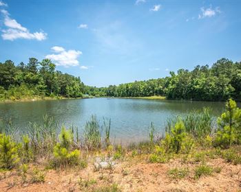 High-Fenced, Intensively Managed Hunting Land