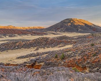 How to Protect Yourself From Vacant Land Scams