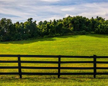 Land Q&A: Installing a Perimeter Fence on Rural Land