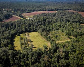 Large Contiguous Hunting Tract with Agriculture Potential
