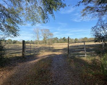 Multi-Use Property with Loads of Desirable Features