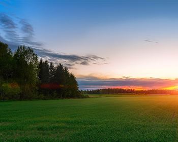Must-Know Tips for First-Time Land Buyers
