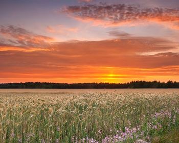 Owning Rural Land Offers Returns that Exceed the Financial