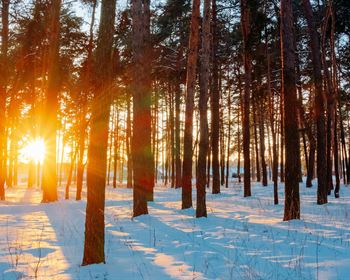 Part 2: Three Ways a Real Estate License Can Help You as a Land Investor