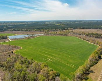 Private and Secluded Georgia Agriculture Farm