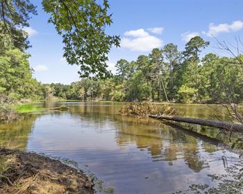 Productive Multi-Use Property with Ponds, Homesite