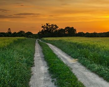 Pulse: In a Socially Distant World, Interest in Land for Camping Grows
