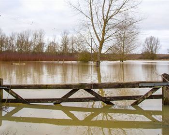 Pulse: Land Buyers Fear Flooding More Than Any Other Natural Disaster