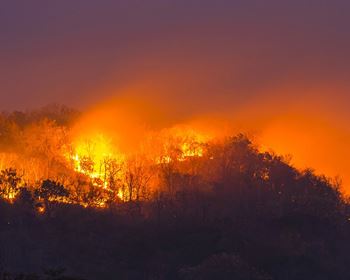 Pulse: Public Opinion Strongly Supports Legislation to Manage Forests, Reduce Wildfire Risk