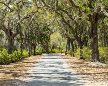 Pulse: Southeast U.S. Wins Favor with Land Buyers