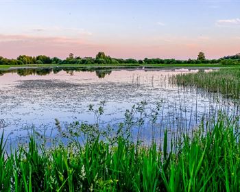 Recreational Land Sales Outlook for the Rest of 2021 Is Bright