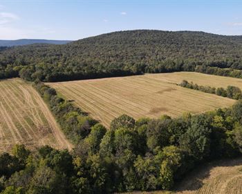 Recreational Tract with Income-Producing Cropland