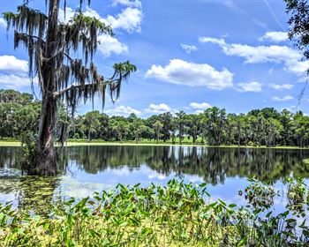 Rooks Ranch: Cattle Operation with Spring-Fed Lakes