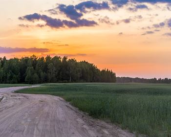 Should You Buy Improved or Unimproved Recreational Property?