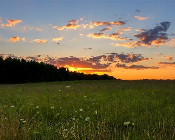Starlink: Promising Internet Solution for Rural Land Buyers