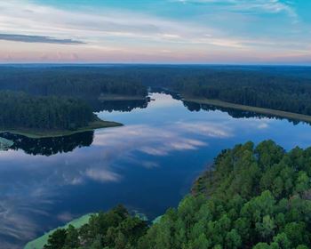 The Hudson Plantation: An Exceptional Timber & Recreational Property