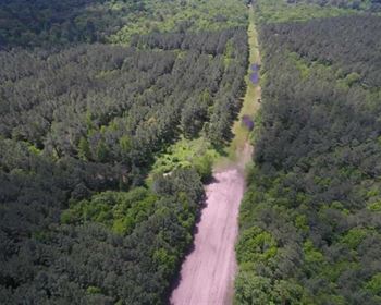 Timber Investment Doubles as a Fine Recreational Tract