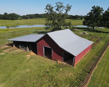 Top Alabama Cattle Farm with Home, Ponds