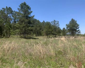 Versatile Alabama Property with Potential to Build
