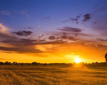 When Negotiating Land Price, Keep the Deal Moving