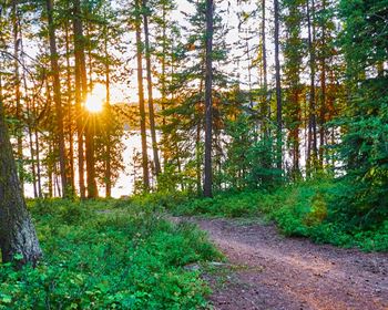 When You’ve Decided to Sell Your Land, Commitment is Critical