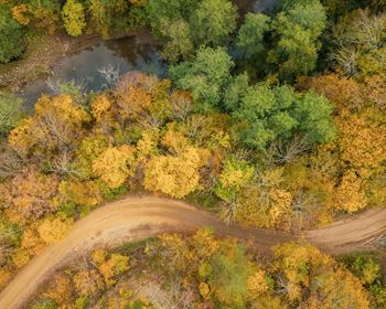 Which Mapping Software Do You Use?