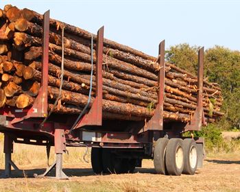 Wood Fiber Markets and Timberland Investing
