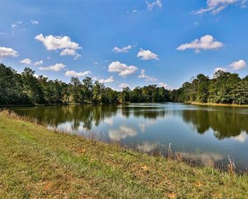 Yellow River: Manageable Timberland, Recreational Upside