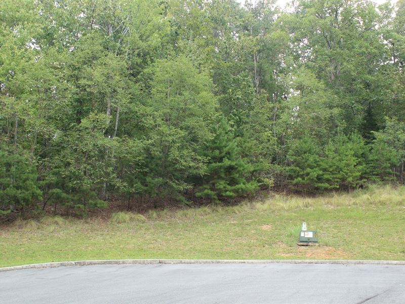 Cherokee Lake Living in Legacy Bay : Mooresburg : Hawkins County : Tennessee