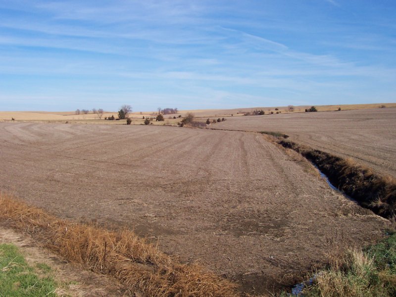 Farmland Auction : Wahoo : Saunders County : Nebraska