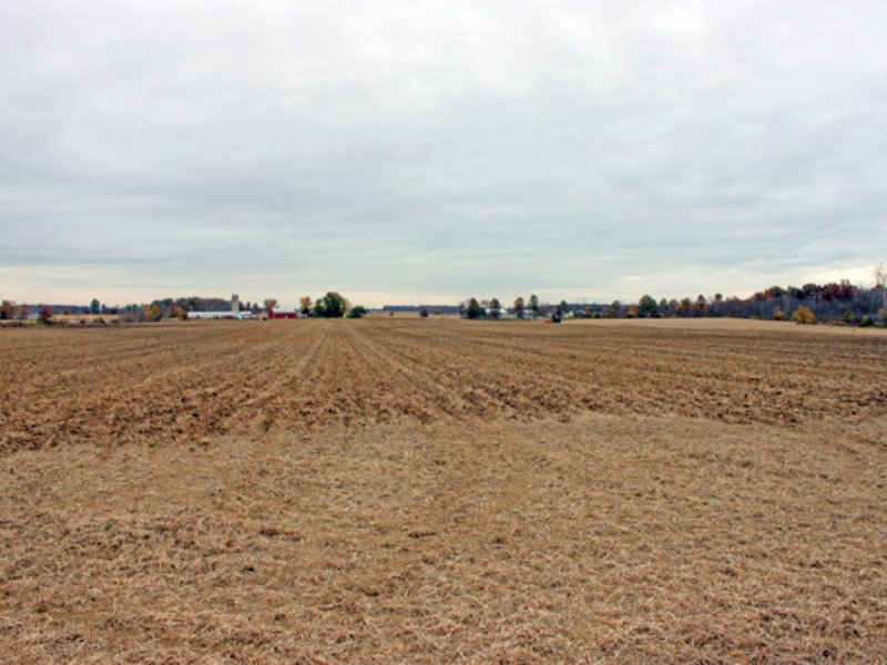 66 Acre Farm : Marysville : Union County : Ohio