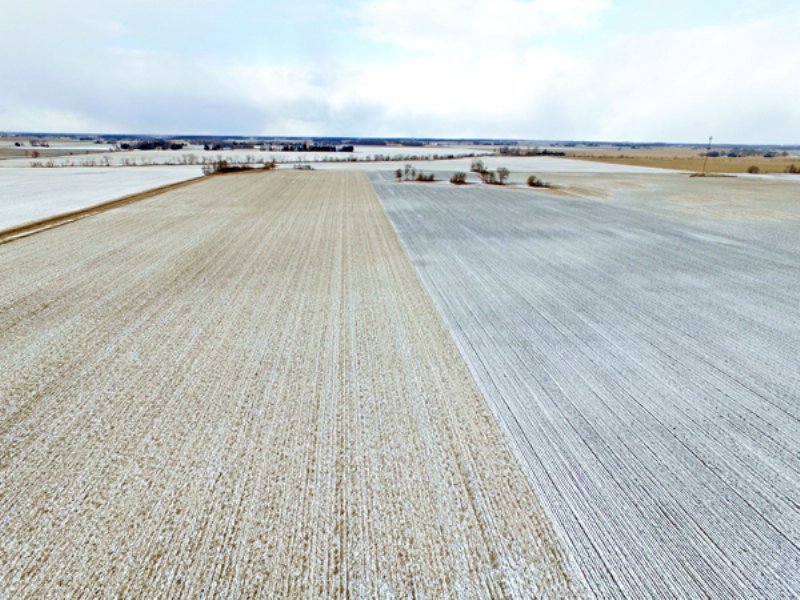 174 Acres Highly Productive Land : Rudolph : Wood County : Ohio