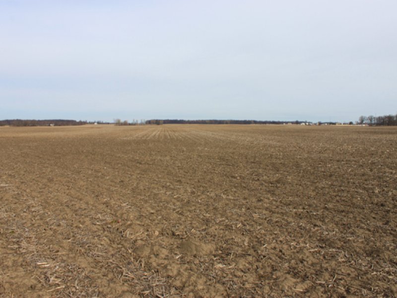 517 Acres Super Grain Farm : Delaware : Delaware County : Ohio