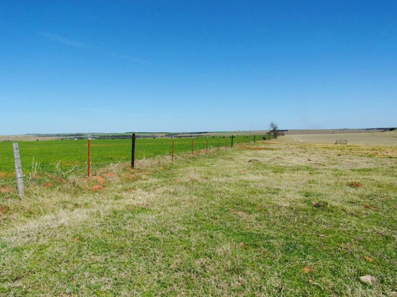 160 Acres Cropland & Grassland : Hydro : Caddo County : Oklahoma
